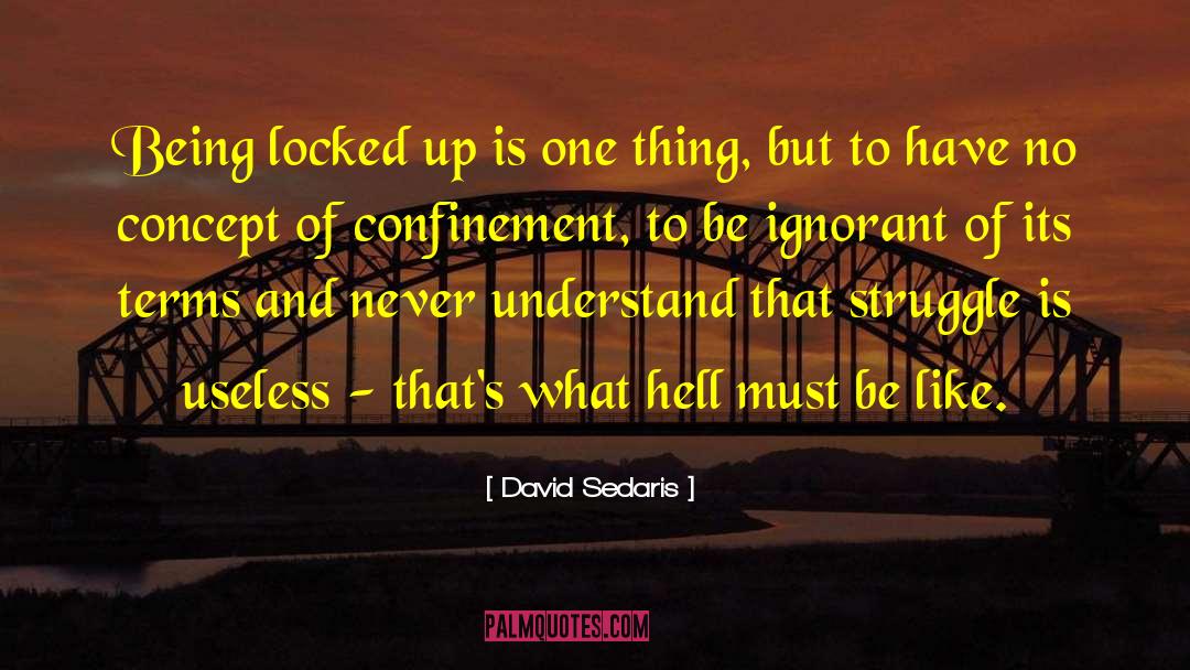 David Sedaris Quotes: Being locked up is one