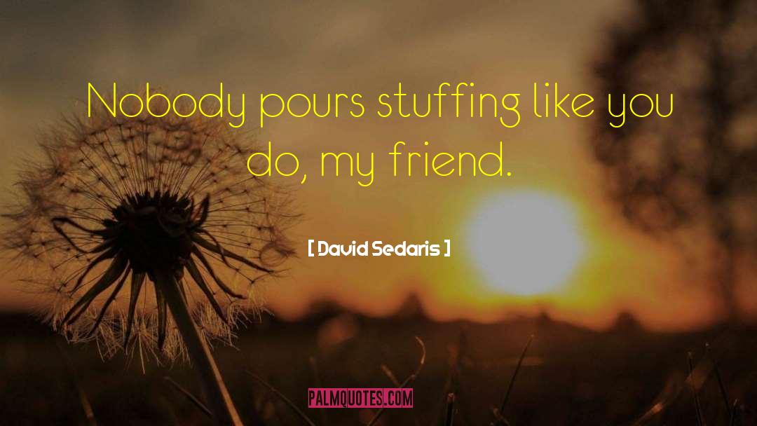 David Sedaris Quotes: Nobody pours stuffing like you