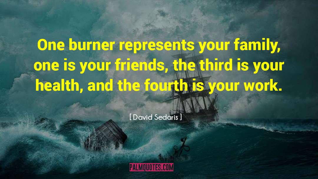 David Sedaris Quotes: One burner represents your family,