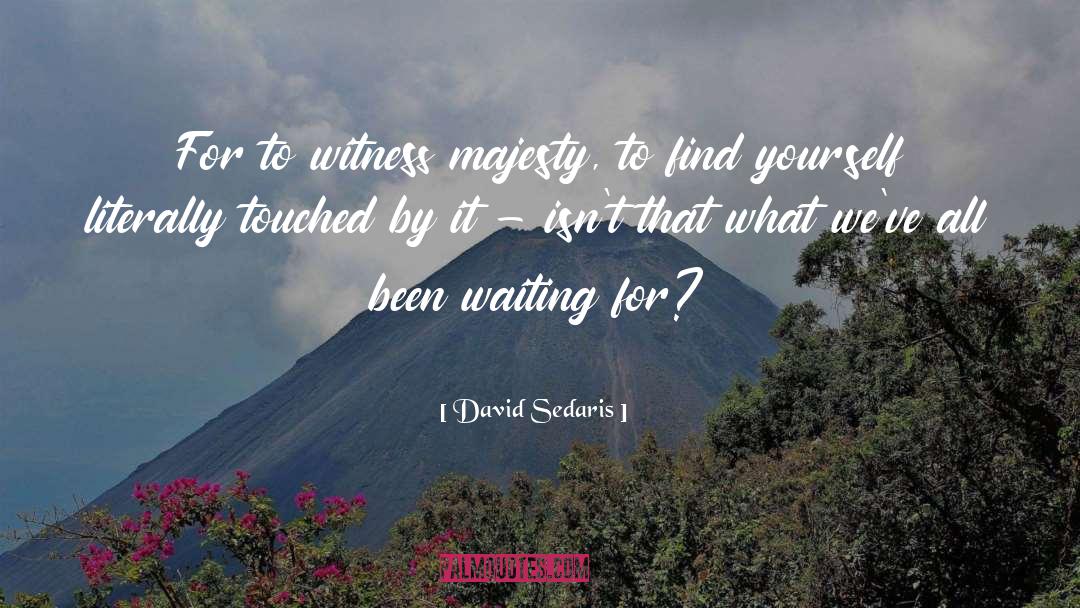 David Sedaris Quotes: For to witness majesty, to