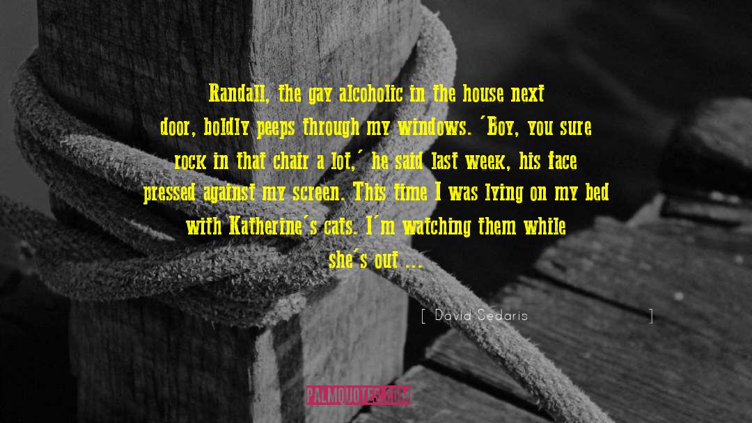 David Sedaris Quotes: Randall, the gay alcoholic in