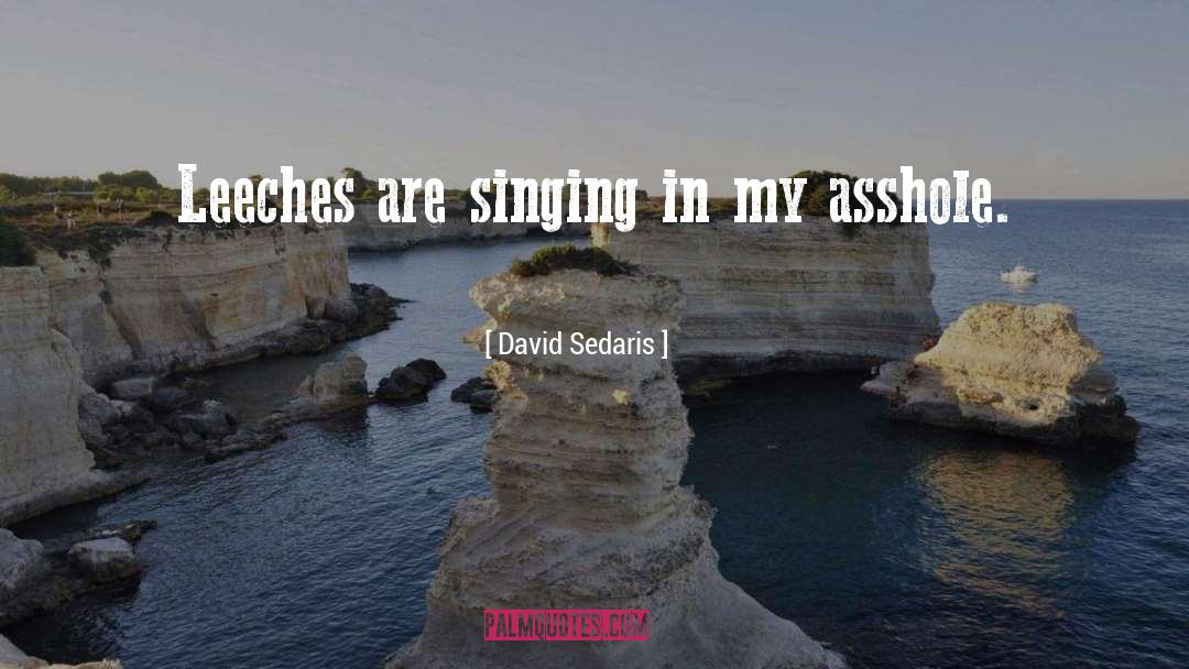David Sedaris Quotes: Leeches are singing in my