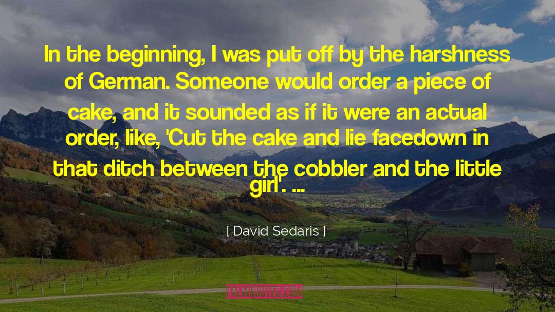 David Sedaris Quotes: In the beginning, I was