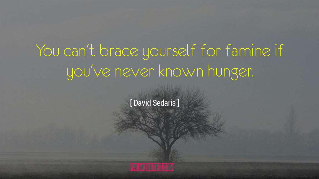 David Sedaris Quotes: You can't brace yourself for