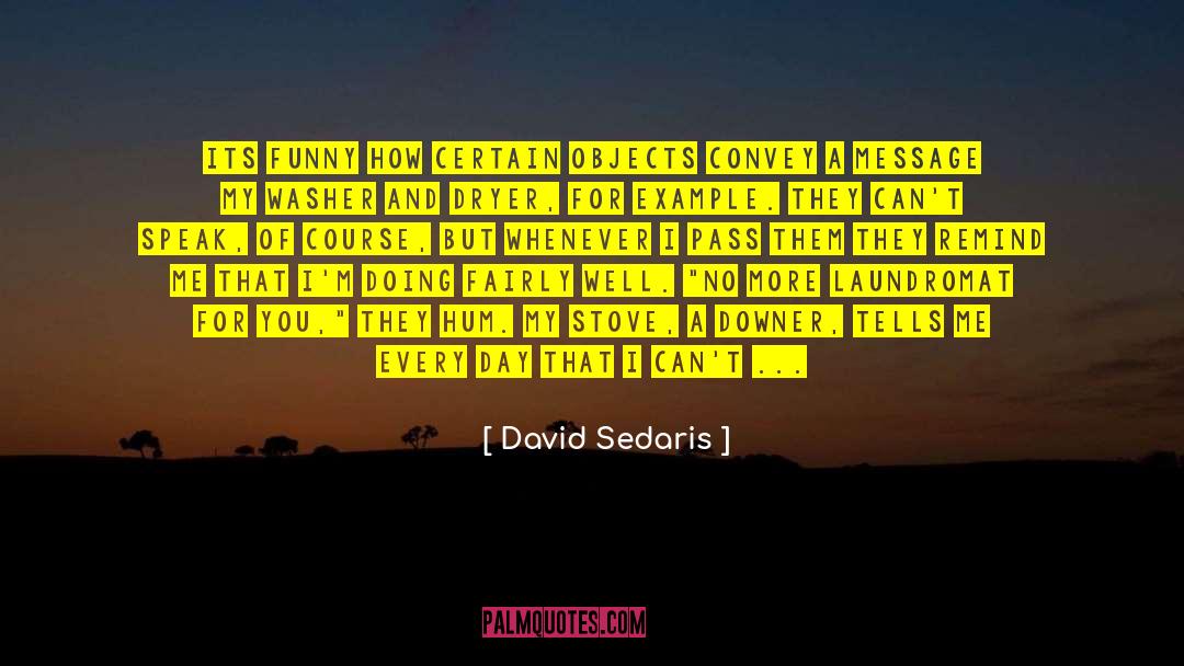 David Sedaris Quotes: Its funny how certain objects