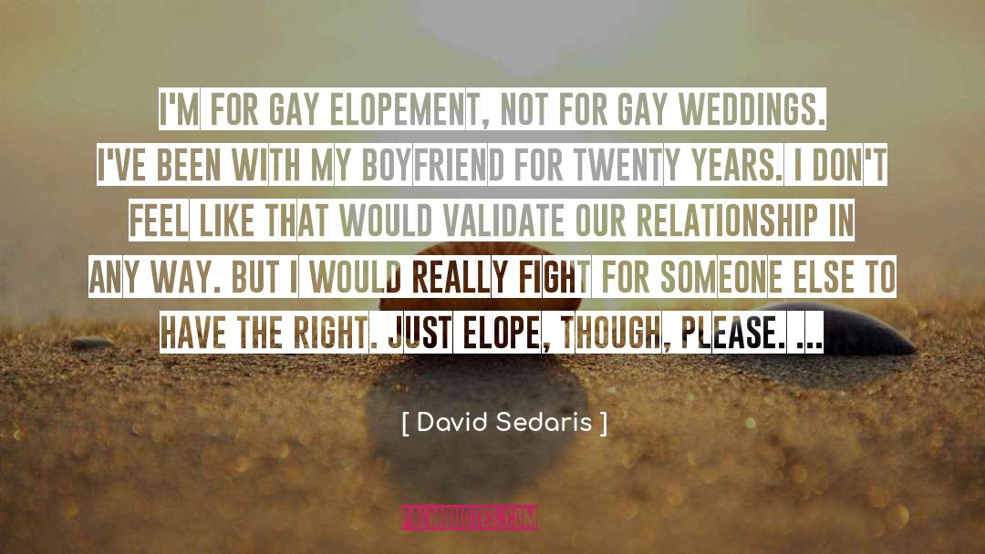 David Sedaris Quotes: I'm for gay elopement, not