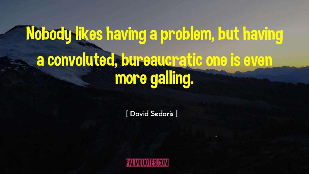 David Sedaris Quotes: Nobody likes having a problem,