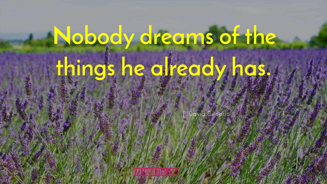 David Sedaris Quotes: Nobody dreams of the things