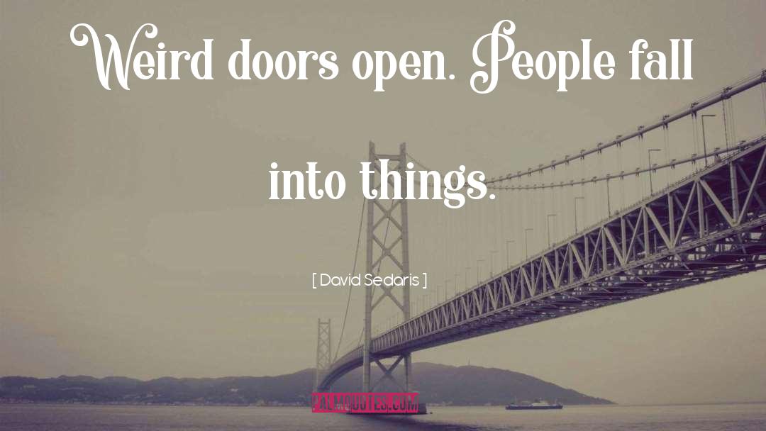 David Sedaris Quotes: Weird doors open. People fall