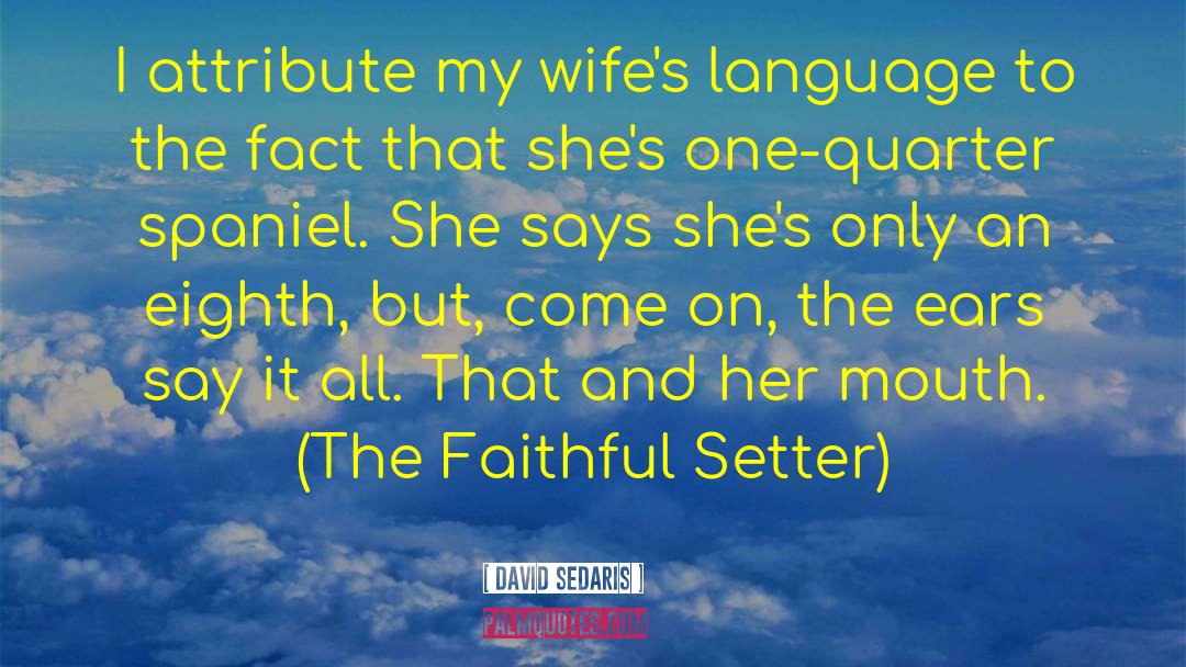 David Sedaris Quotes: I attribute my wife's language