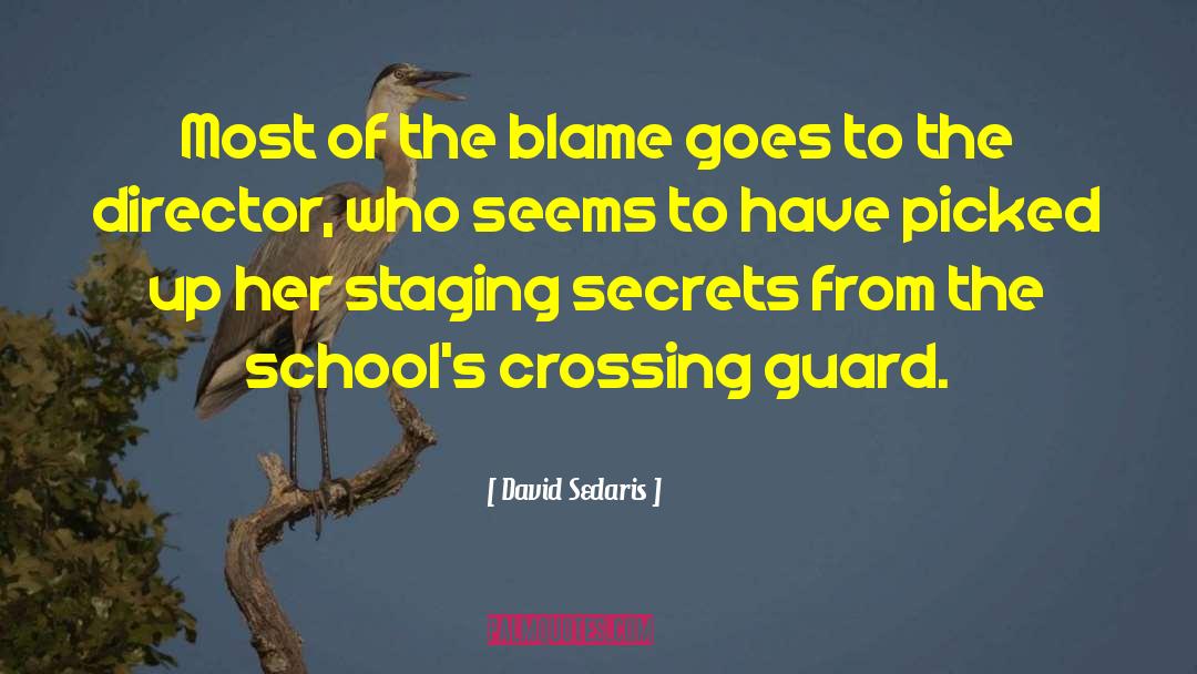 David Sedaris Quotes: Most of the blame goes
