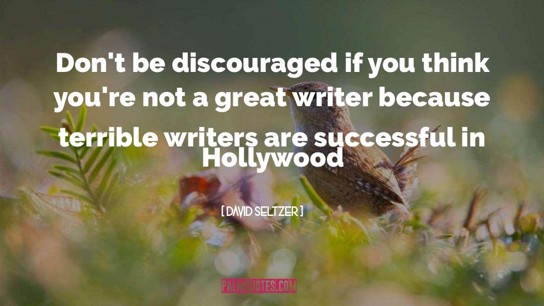 David Seltzer Quotes: Don't be discouraged if you