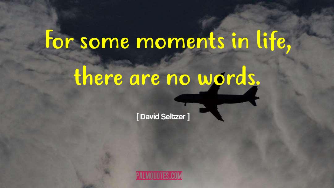 David Seltzer Quotes: For some moments in life,