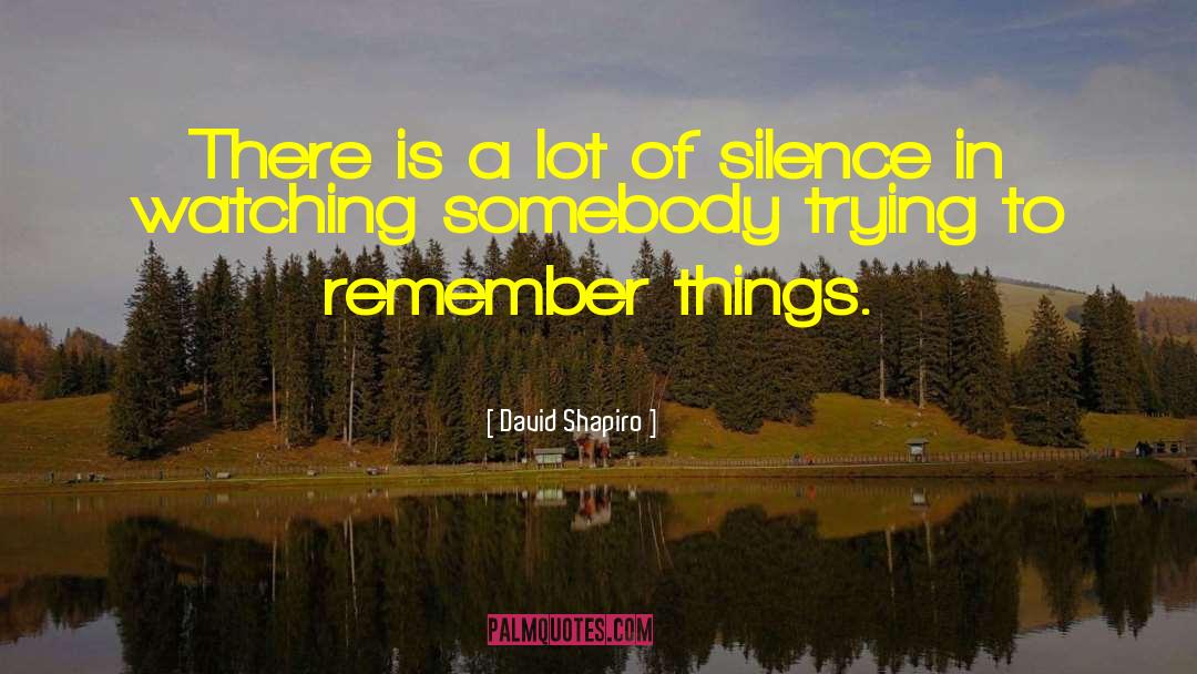 David Shapiro Quotes: There is a lot of