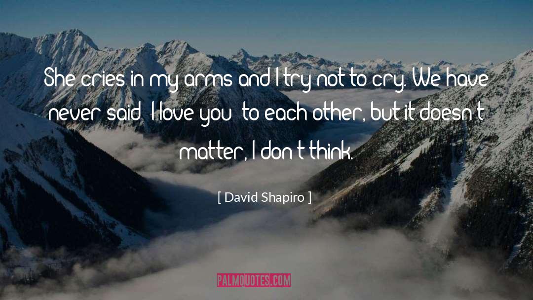 David Shapiro Quotes: She cries in my arms
