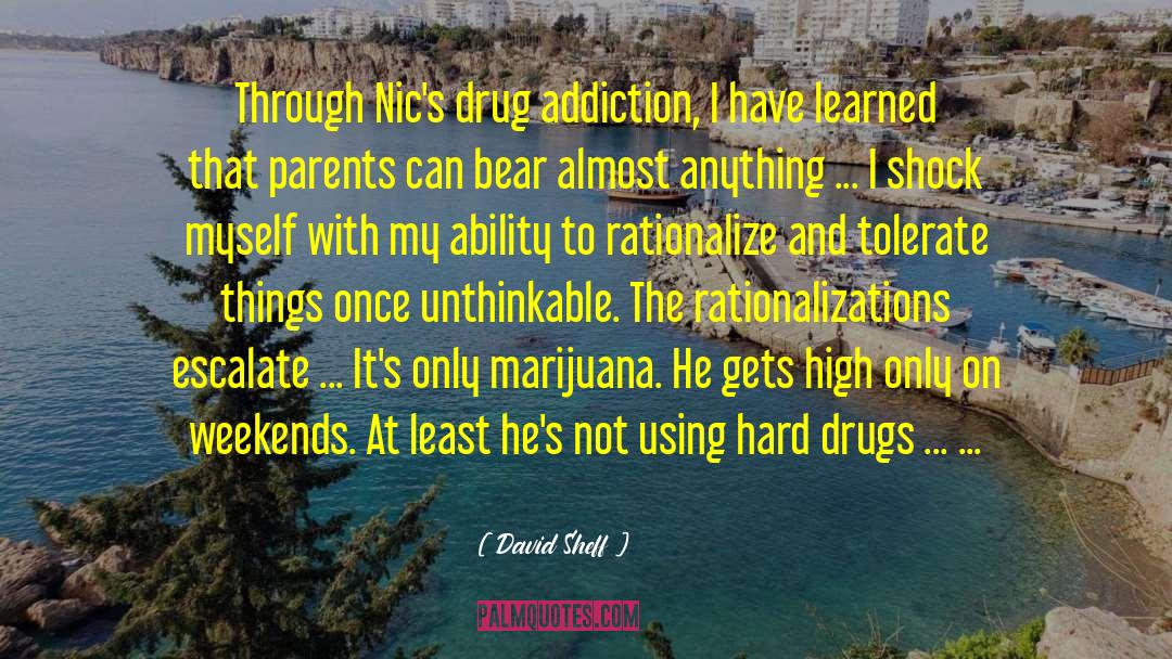 David Sheff Quotes: Through Nic's drug addiction, I