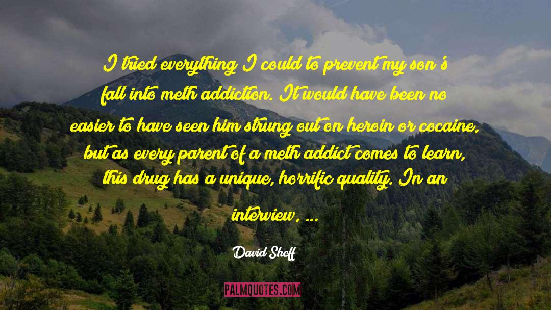 David Sheff Quotes: I tried everything I could