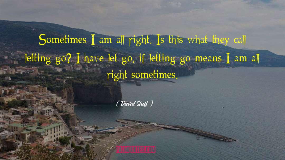 David Sheff Quotes: Sometimes I am all right.