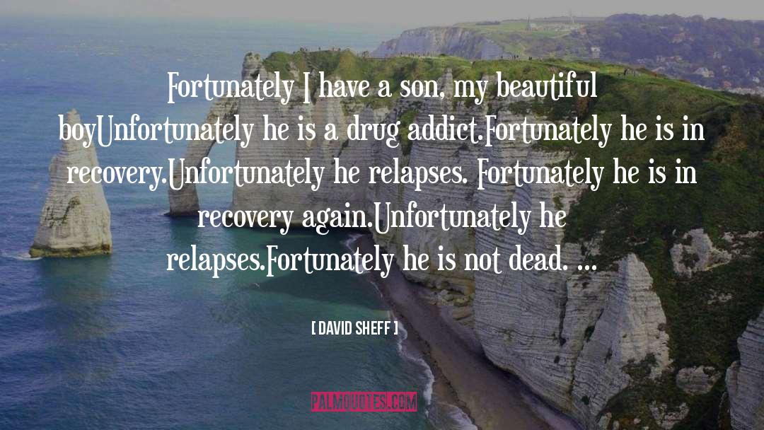 David Sheff Quotes: Fortunately I have a son,