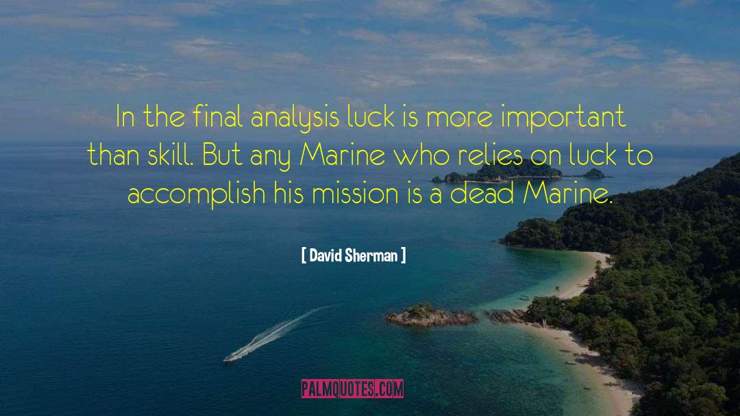 David Sherman Quotes: In the final analysis luck