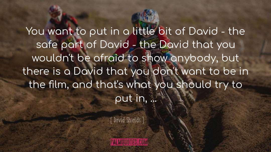 David Shields Quotes: You want to put in