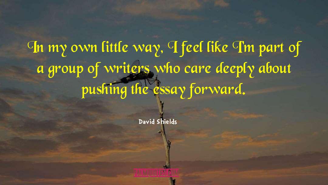 David Shields Quotes: In my own little way,