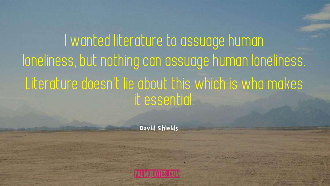 David Shields Quotes: I wanted literature to assuage