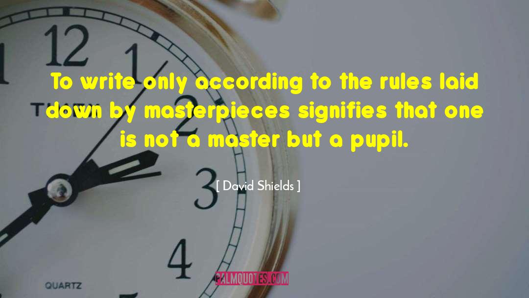David Shields Quotes: To write only according to