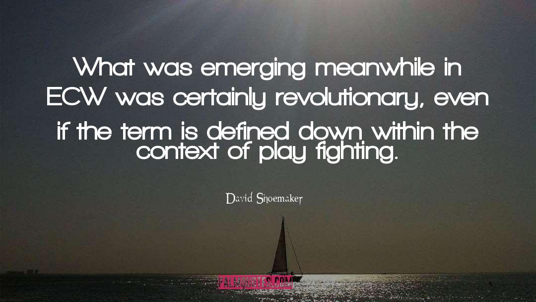 David Shoemaker Quotes: What was emerging meanwhile in