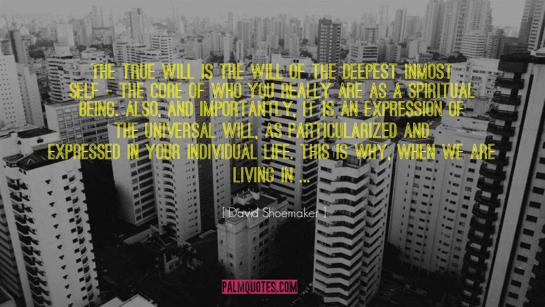 David Shoemaker Quotes: The True Will is the