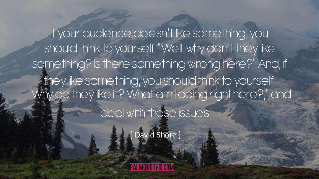 David Shore Quotes: If your audience doesn't like