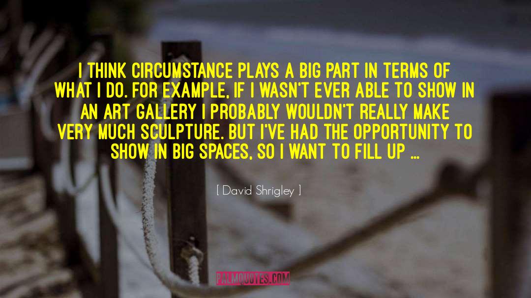 David Shrigley Quotes: I think circumstance plays a
