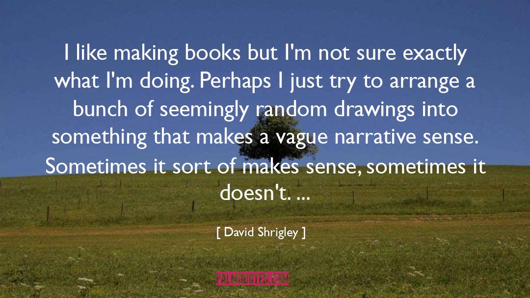 David Shrigley Quotes: I like making books but