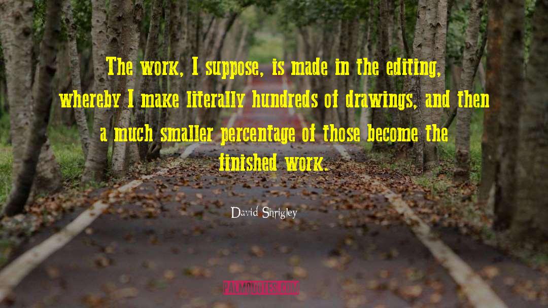 David Shrigley Quotes: The work, I suppose, is
