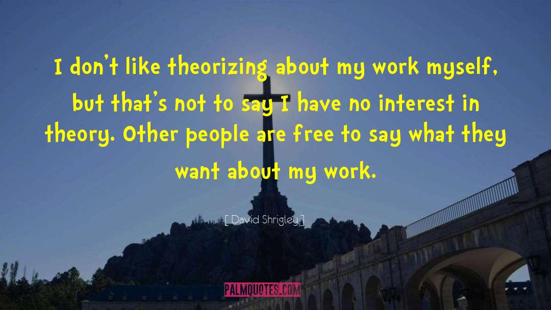 David Shrigley Quotes: I don't like theorizing about