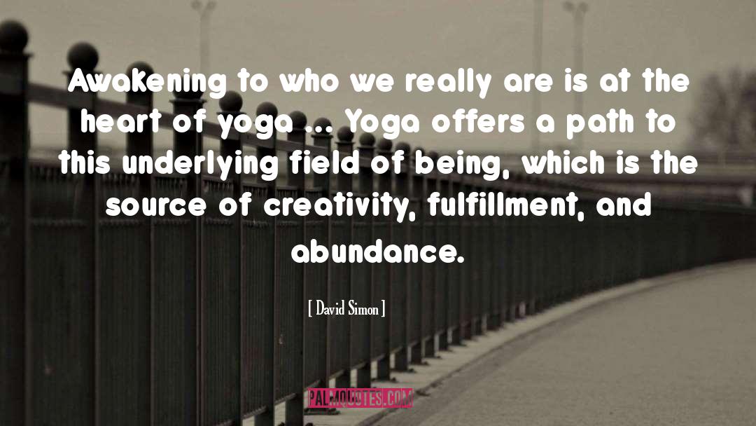 David Simon Quotes: Awakening to who we really