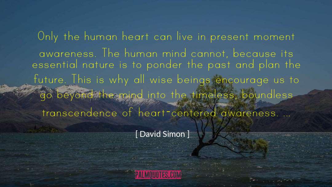 David Simon Quotes: Only the human heart can