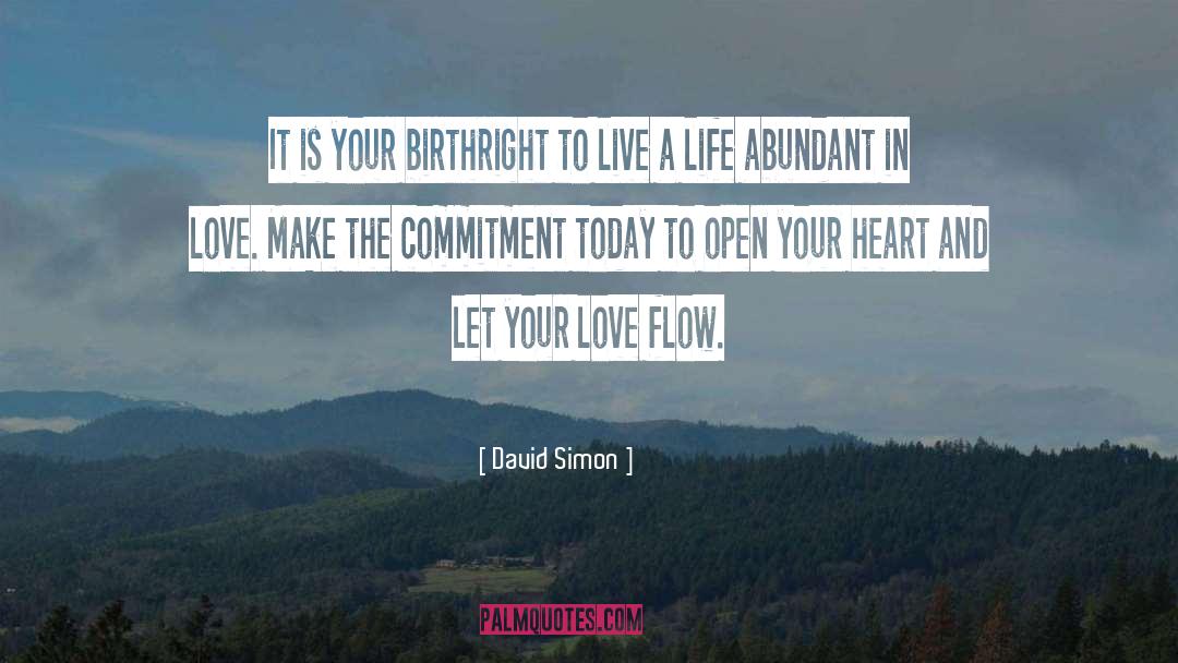 David Simon Quotes: It is your birthright to