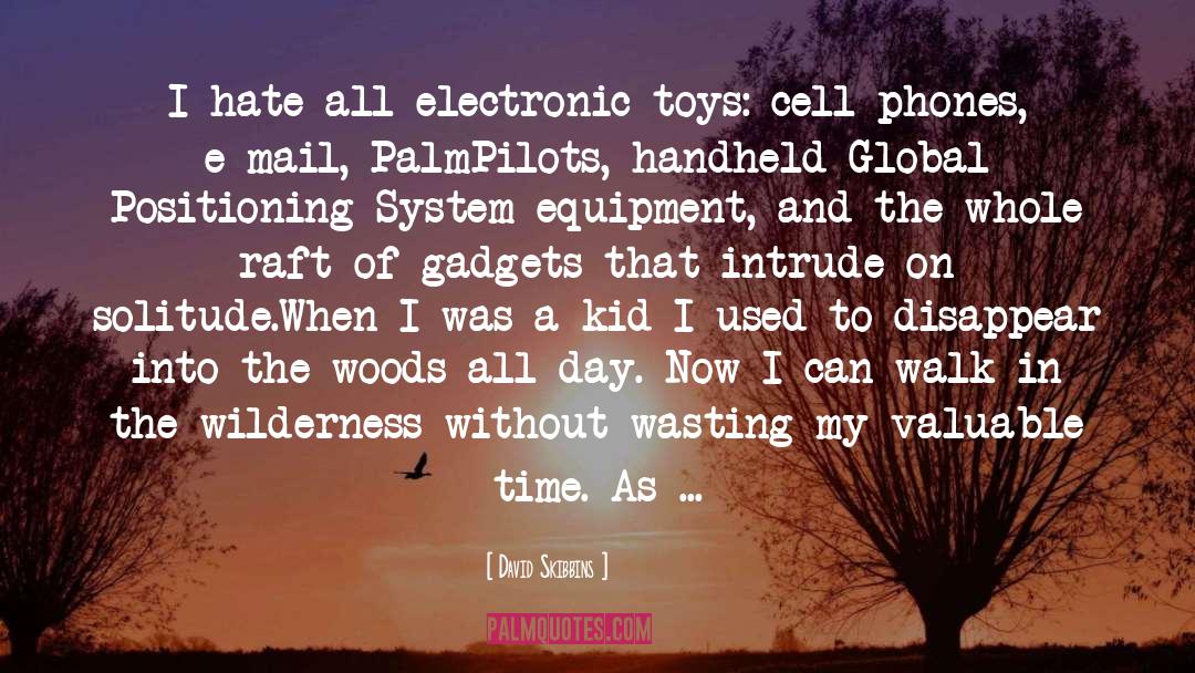 David Skibbins Quotes: I hate all electronic toys: