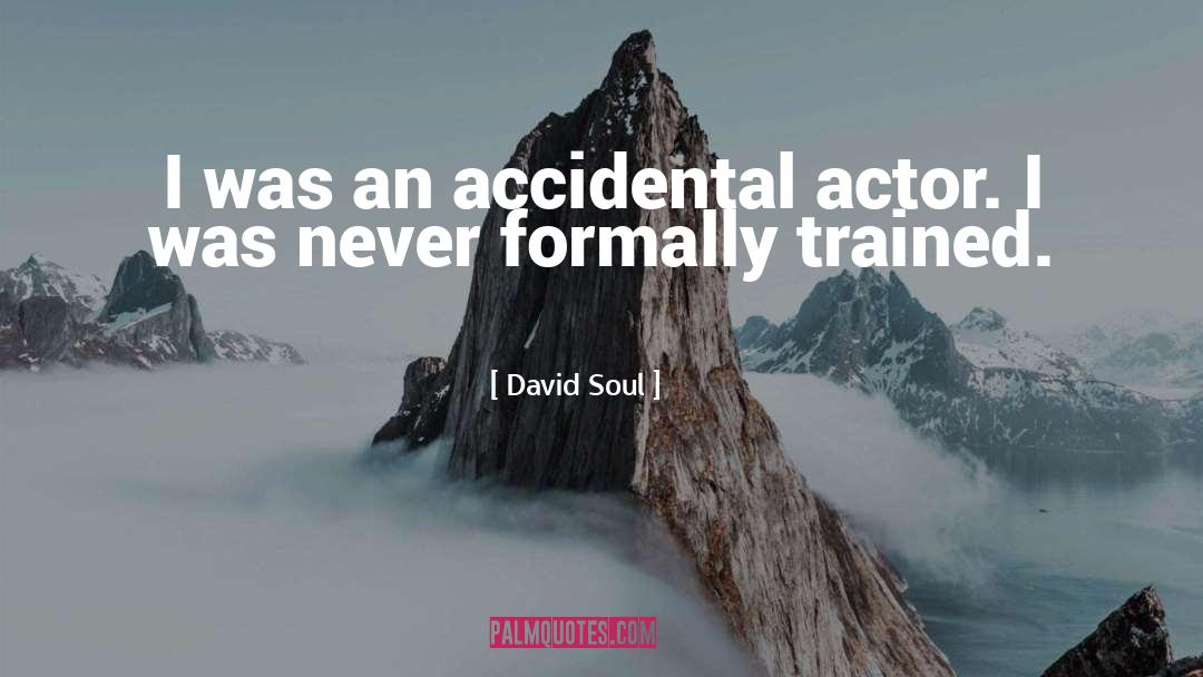 David Soul Quotes: I was an accidental actor.