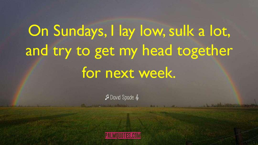 David Spade Quotes: On Sundays, I lay low,