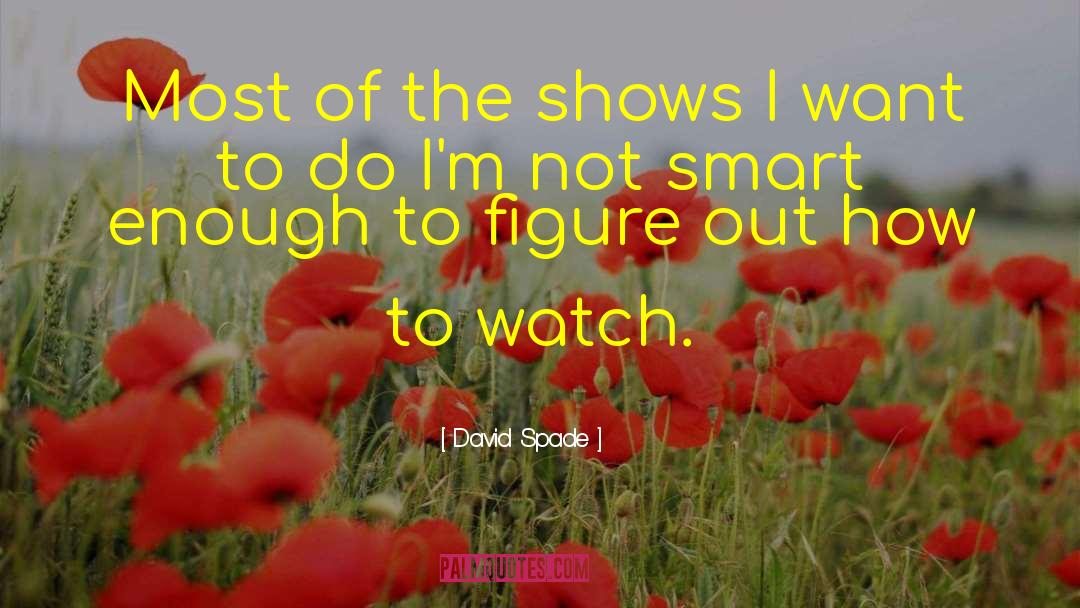 David Spade Quotes: Most of the shows I