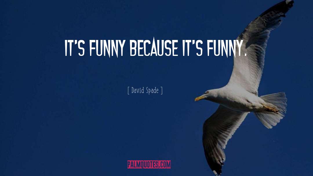 David Spade Quotes: It's funny because it's funny.