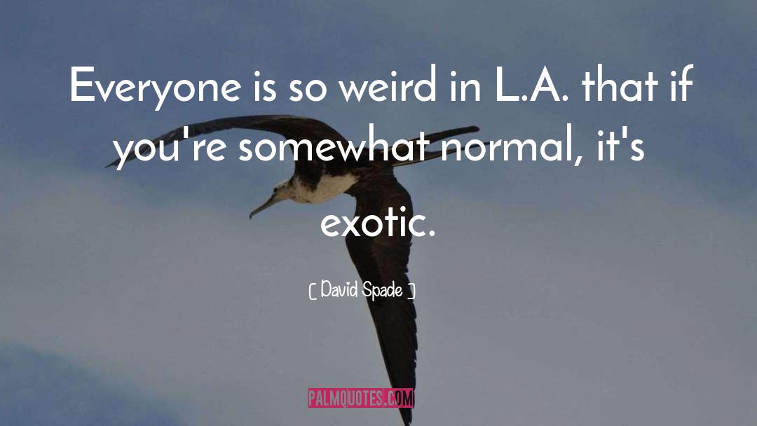 David Spade Quotes: Everyone is so weird in