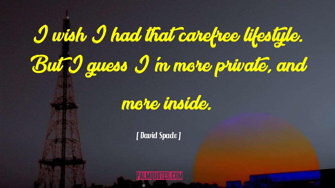 David Spade Quotes: I wish I had that