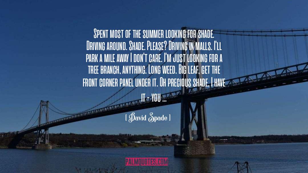 David Spade Quotes: Spent most of the summer