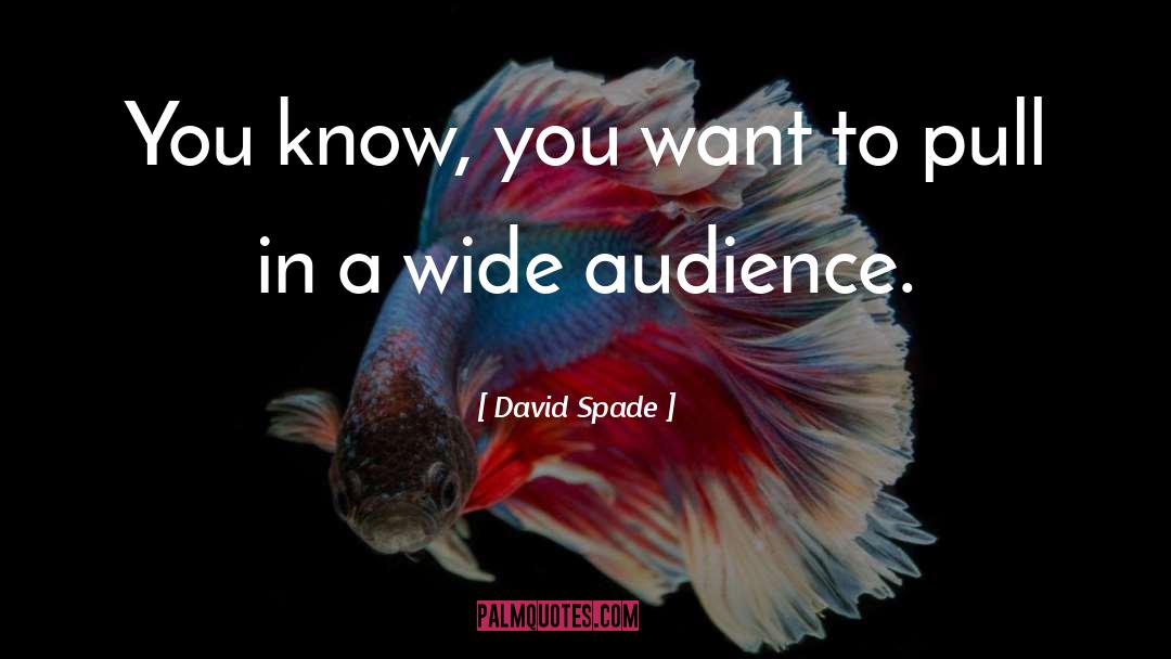 David Spade Quotes: You know, you want to