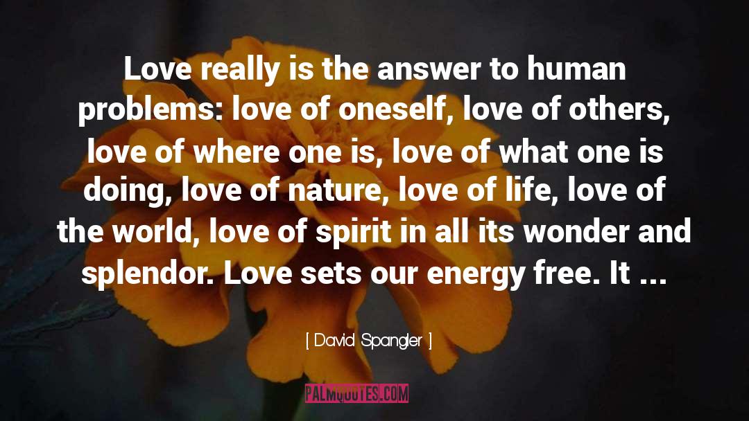 David Spangler Quotes: Love really is the answer