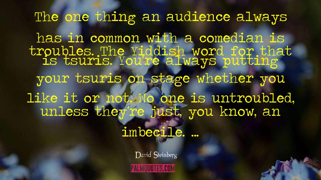 David Steinberg Quotes: The one thing an audience