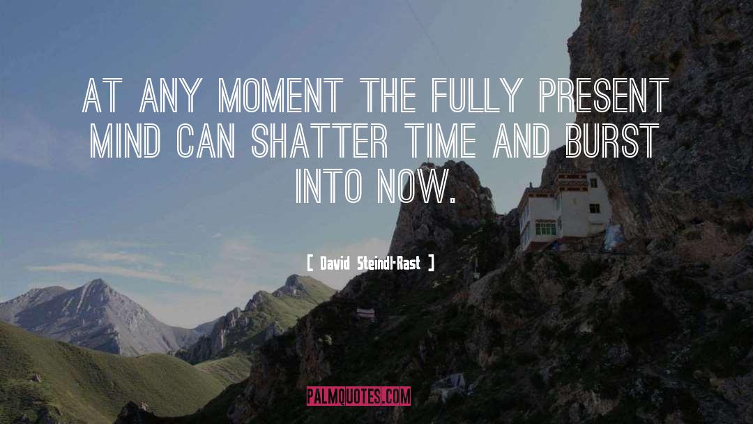 David Steindl-Rast Quotes: At any moment the fully